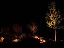 подсветка деревьев в саду