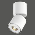 12069027002801 Doxis Titan Surface Mounted Anti-Glare White прожектор 12069027002801 Doxis Titan Surface Mounted Anti-Glare White прожектор