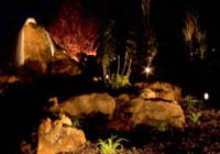 светодизайн садового освещения