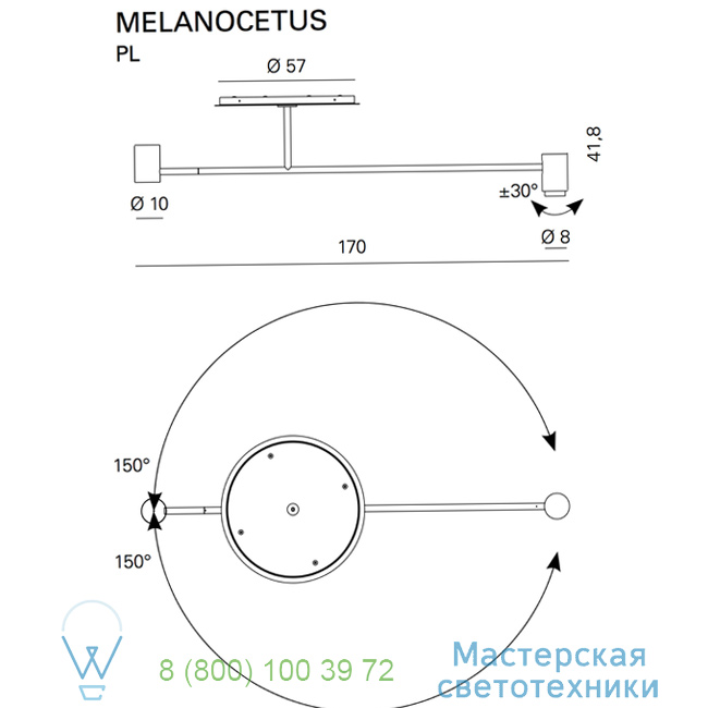  Melanocetus Contardi 170cm, H41,8cm  ACAM.002599 3