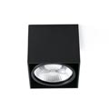 63275 TECTO-1 Black ceiling lamp AR111 Faro, 