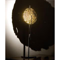 ECGMAG02 Catellani & Smith Gold Moon CS настольная лампа