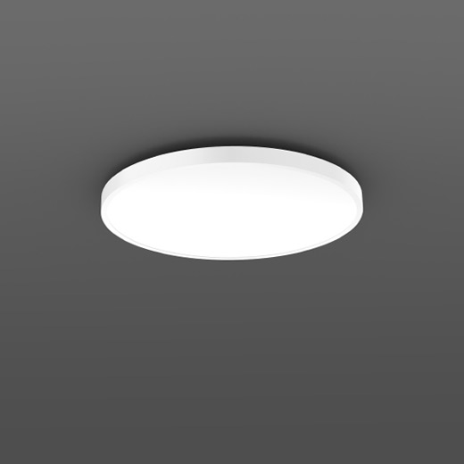 Triona RZB ,   Ceiling and wall luminaire 312387.002