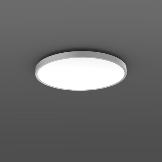 Triona RZB ,   Ceiling and wall luminaire 312387.004