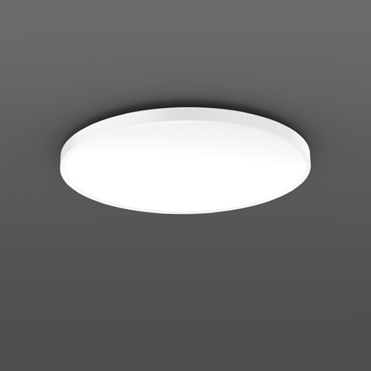 Triona RZB ,   Ceiling and wall luminaire 312391.002