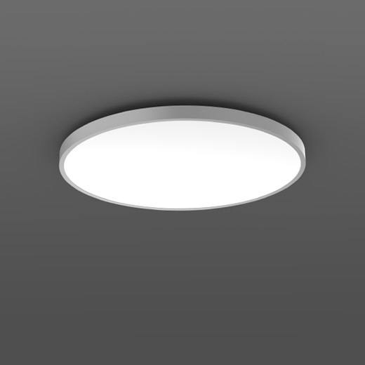Triona RZB ,   Ceiling and wall luminaire 312391.004