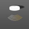 Flat Slim RZB ,   Ceiling and wall luminaire 312136.002.1.19