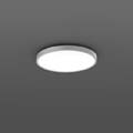 Triona RZB ,   Ceiling and wall luminaire 312383.004