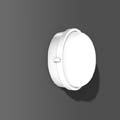 Alu-Superior RZB ,   Ceiling and wall luminaire 51050.002