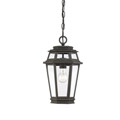 5-23003-141 Savoy House Holbrook 1 Light Outdoor Hanging Lantern  