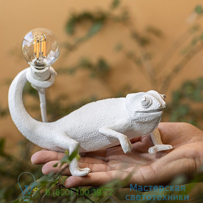  Chameleon Lamp Seletti L17cm, H14cm   14660 0