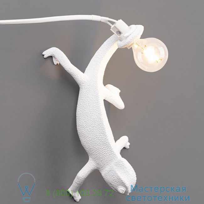  Chameleon Lamp Seletti L21cm, H10cm     14661 3