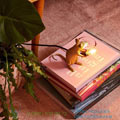 Mouse Lamp Seletti L15cm, H12,5cm   15071GLD